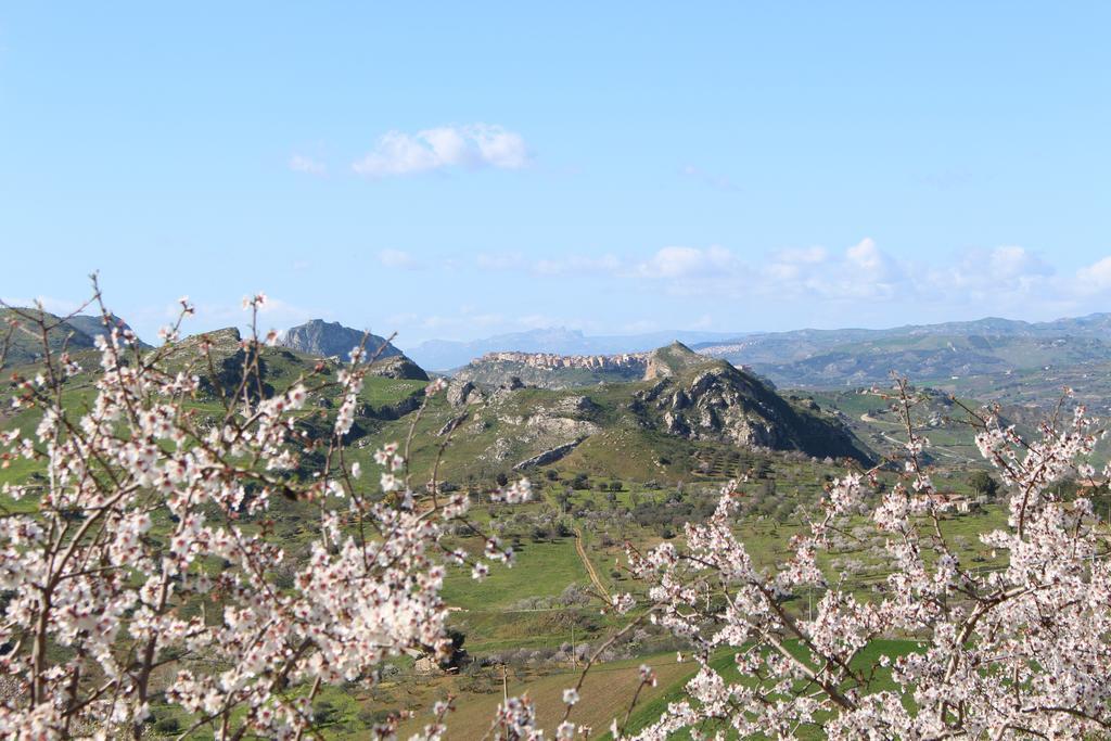 Agriturismo Feudo Muxarello Aragona ภายนอก รูปภาพ