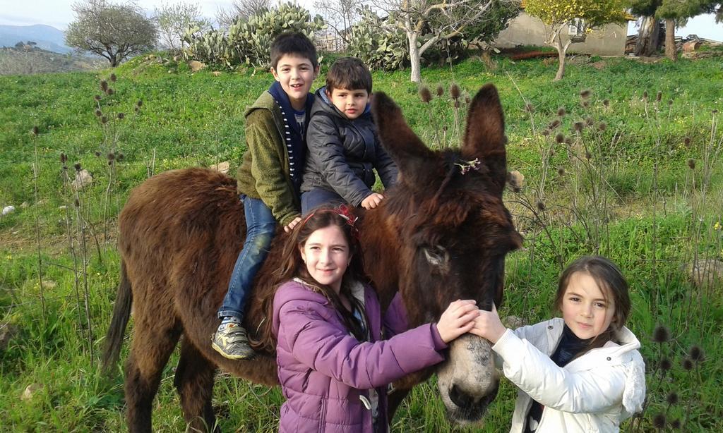 Agriturismo Feudo Muxarello Aragona ภายนอก รูปภาพ